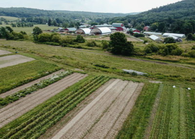 aerial view of the farm's main vegetable field with farm buildings in the background